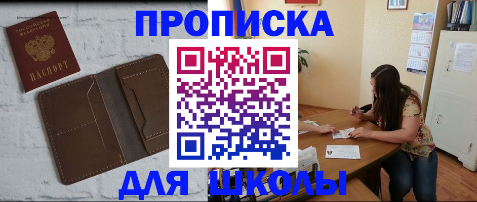 где прописаться в Нелидово